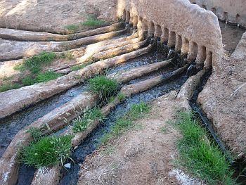 Traditional Palme irrigation sysetm (c) F. Molle